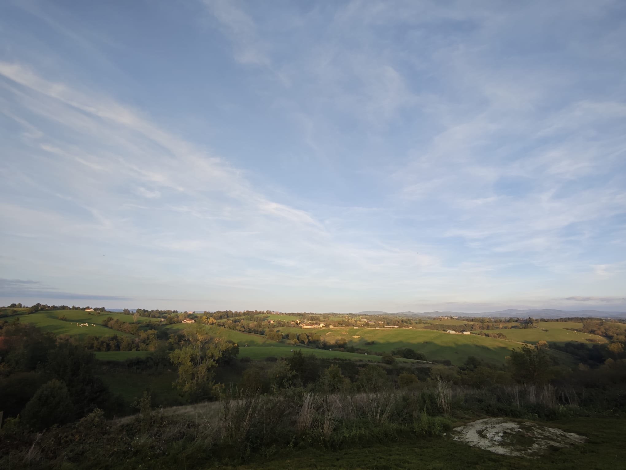 WhatsApp Image 2025-10-10 at 18.40.34